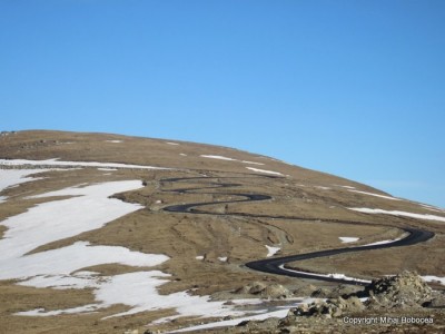 transalpina 14 transalpina