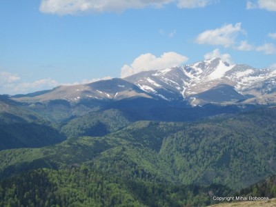 transalpina 15 transalpina