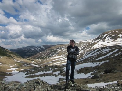 transalpina 16 transalpina