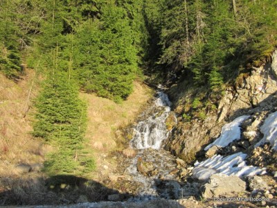 transalpina 30 transalpina