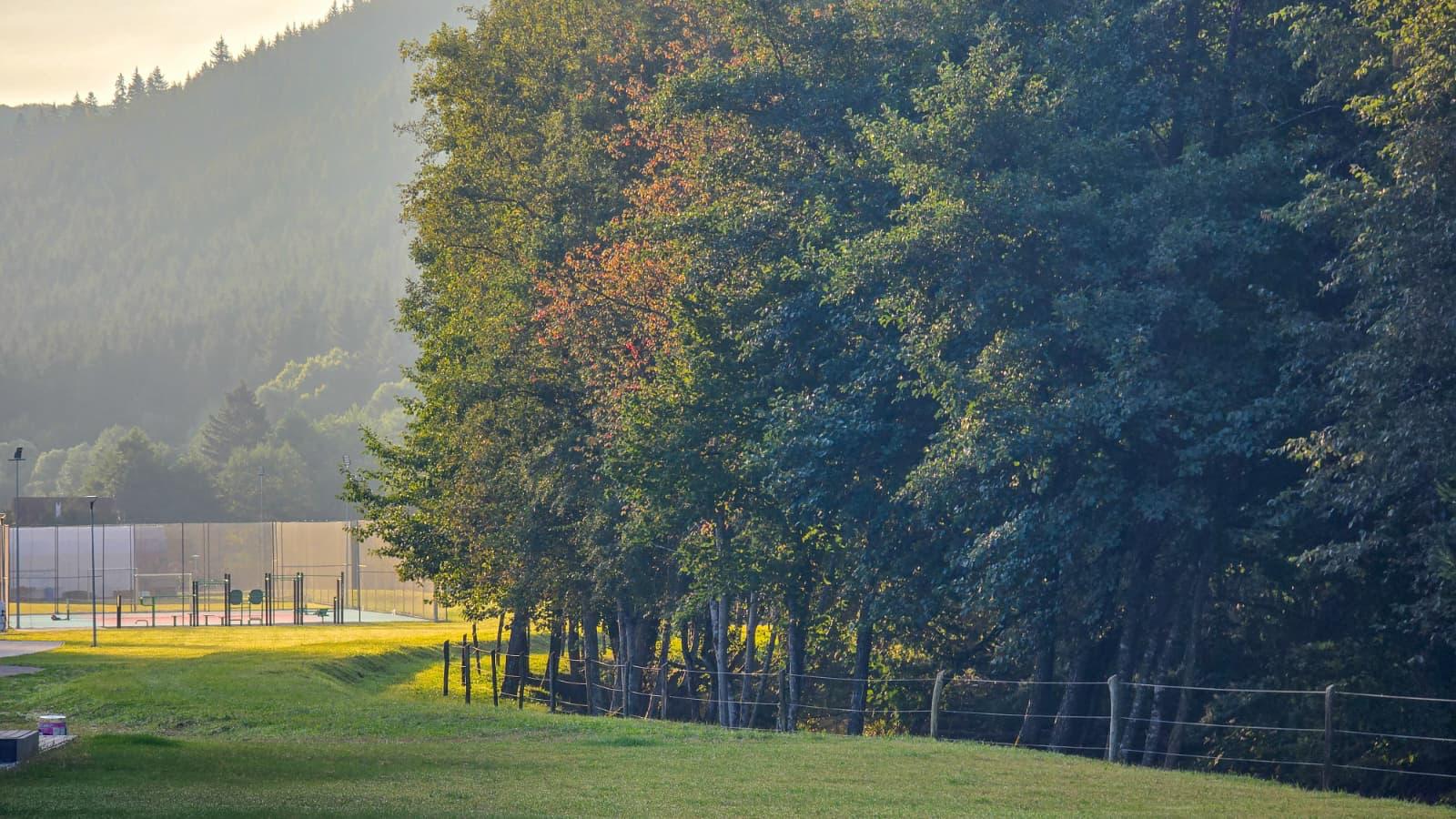 Teren de sport Eskaperdo lângă pădure, în lumina soarelui