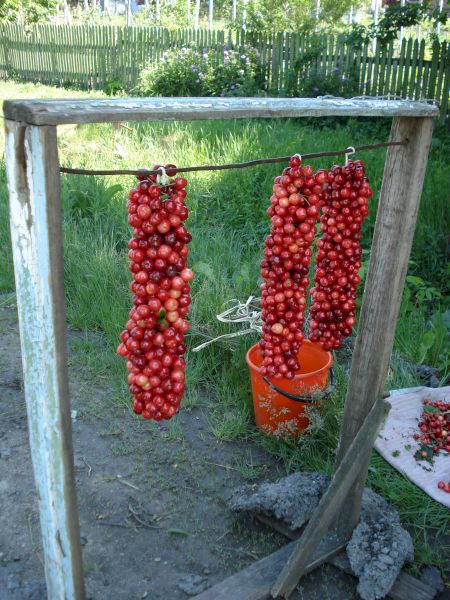 Șiraguri roșii de produse rotunde atârnate pe suport din lemn