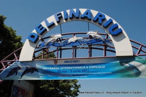 delfinariu 1 Constanta
