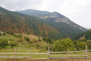 Pestera Pestera