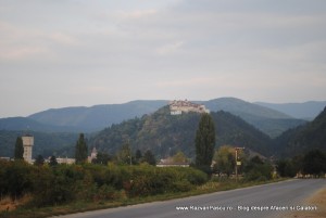 Rasnov Rasnov