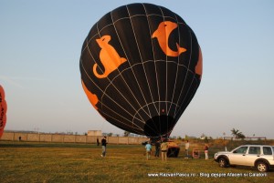balon 10 balon Orange