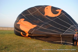 balon 4 balon Orange