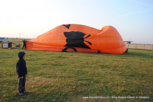 balon 5 balon Orange
