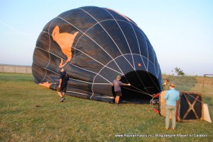 balon 6 balon Orange