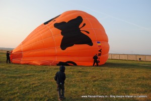 balon 7 balon Orange