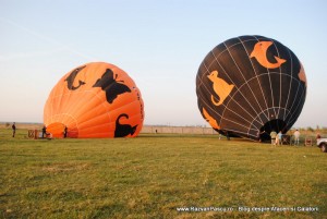balon 9 balon Orange