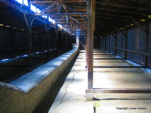 12._Baraci_la_Birkenau Polonia