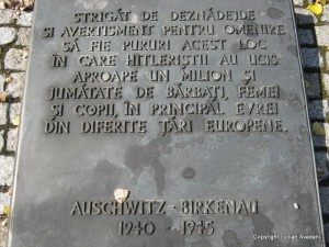 14._Placa_in_Romana_si_alte_23_de_limbi Polonia