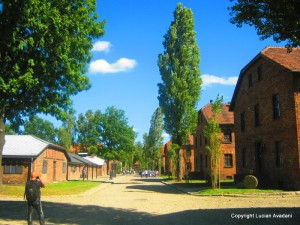 7._Auschwitz_-_Baraci Polonia