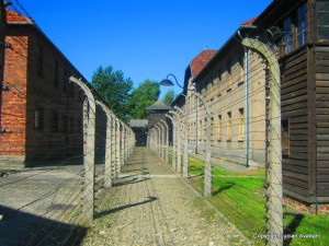 8._Gardul_dintre_baraci_si_Crematorium Polonia