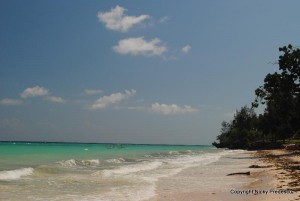 kizimkazi Tanzania