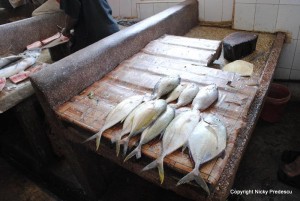 piata_de_peste Tanzania