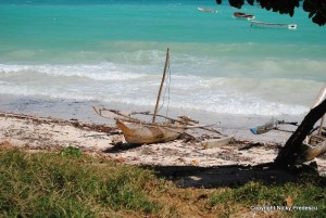 zanzibar 3 Tanzania