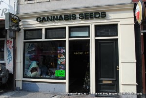 2 amsterdam magazin canabis amsterdam magazin canabis