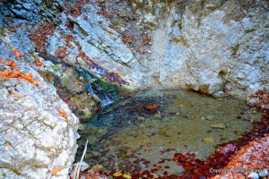 Cascada_Cheile_Moara_Dracului Bucovina