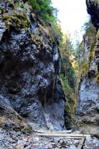 Cheile_Moara_Dracului Bucovina