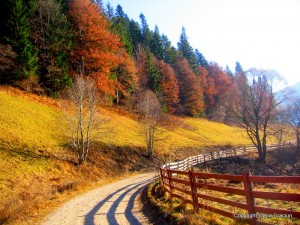 Valea_Caselor_1 Bucovina