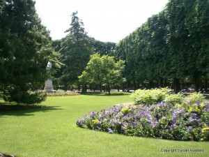 20_-_Gradinile_Luxemburg_resize Peluză verde cu strat curbat de flori și arbori deși.