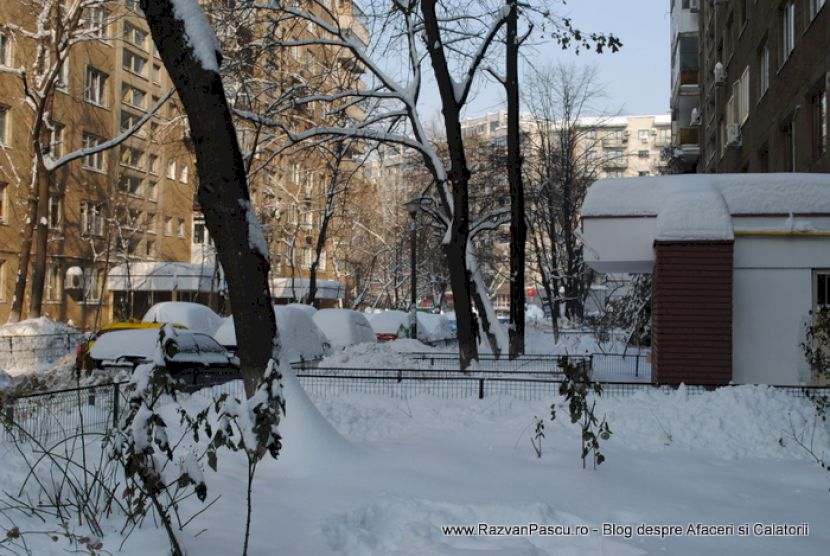 Curte urbană înzăpezită, cu arbori, blocuri și un garaj în fundal.