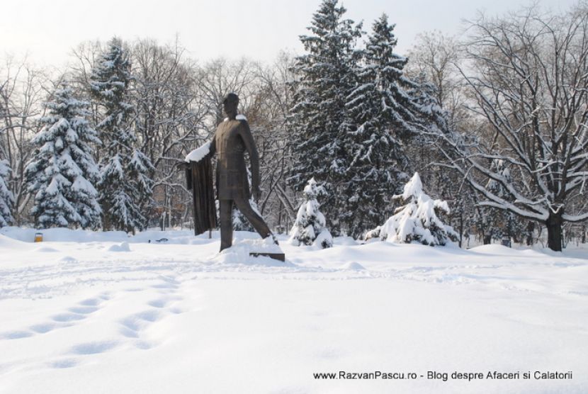 Statuie întunecată pe soclu, în mijlocul unui parc înzăpezit.