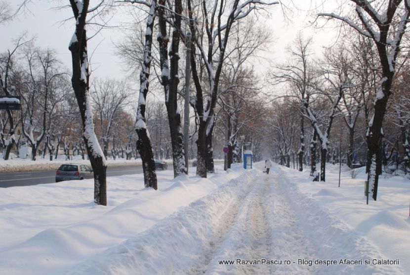 Alee dreaptă cu zăpadă bătătorită, felinare și șiruri de arbori desfrunziți.