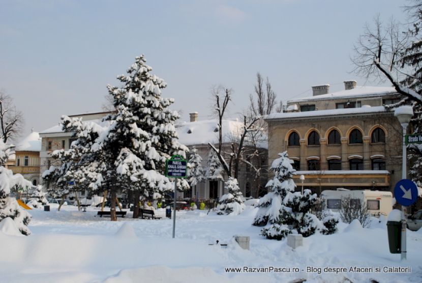 Conifer încărcat de zăpadă în fața unei clădiri cu arcade și balcon.