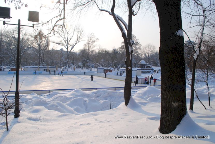 Patinoar văzut printre trunchiuri de copaci și felinare, peste troiene.