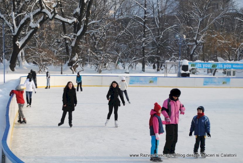 Adulți și copii patinează pe un patinoar în aer liber, lângă arbori înzăpeziți.
