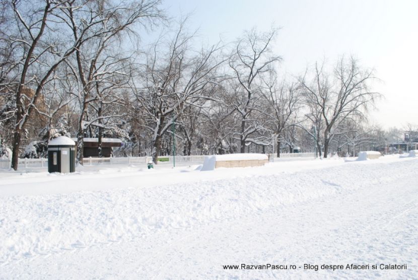 Întindere albă într-un parc, cu arbori desfrunziți și un chioșc întunecat.