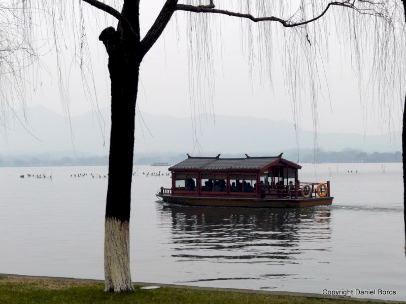 Ambarcațiune cu pavilion acoperit pe un lac, încadrată de ramuri de salcie.