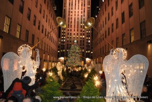 New York 6 imagini New York