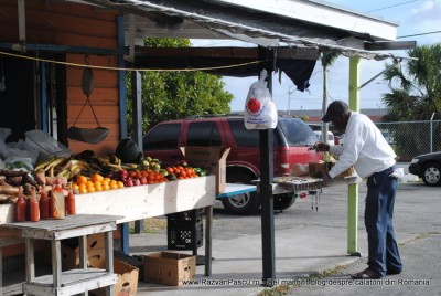 Bahamas Freeport croaziera