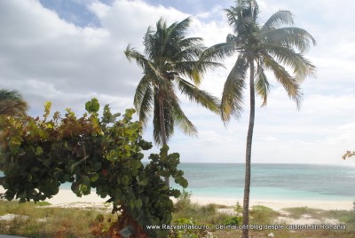 Bahamas Freeport croaziera