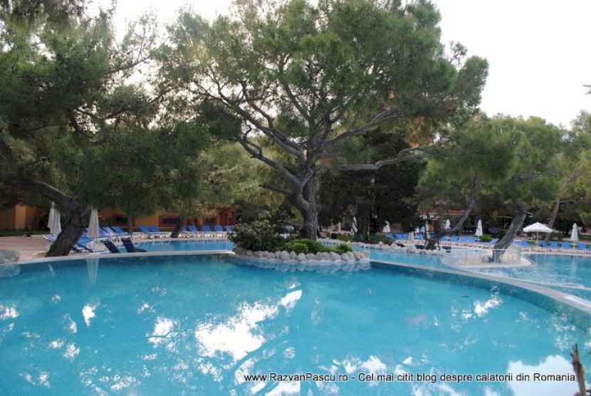 Piscină rotunjită între copaci, cu șezlonguri și umbrele în fundal.