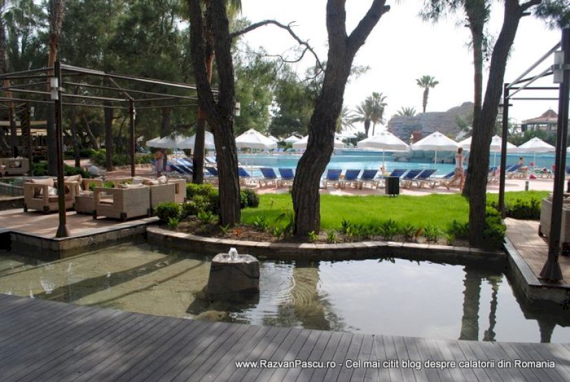 Bazin decorativ puțin adânc, cu arbori și piscină în fundal.