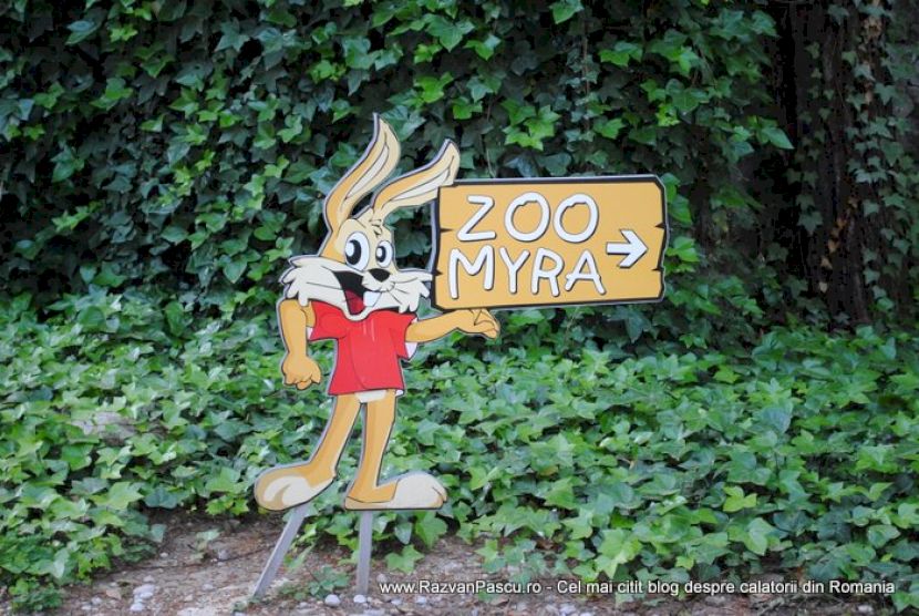 Indicator Zoo Myra cu iepure desenat, fixat pe un perete cu iederă.