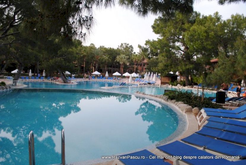 Piscină curbată cu apă turcoaz și șezlonguri albastre pe margine.