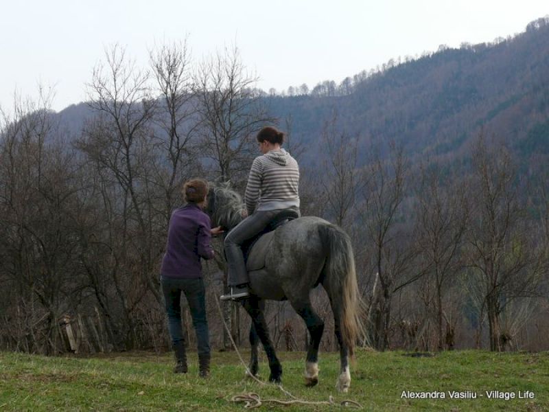 Persoană călare pe un cal gri, însoțită pe jos.