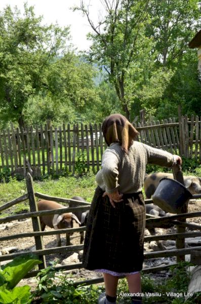 Femeie lângă gardul unui țarc cu animale, într-o gospodărie.