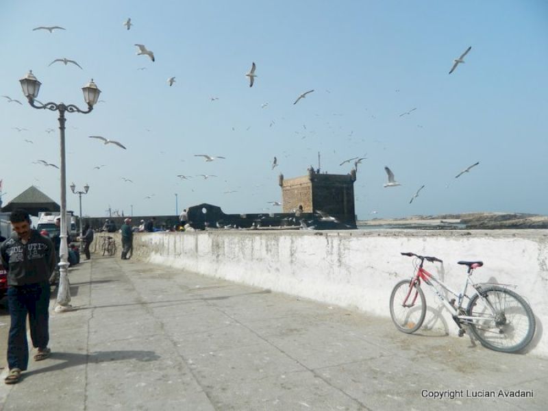 Pescăruși deasupra unei promenade albe, cu bicicletă rezemată de zid.