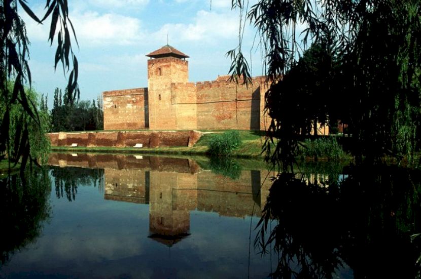 Castel cu turn reflectat în apă, încadrat de ramuri.