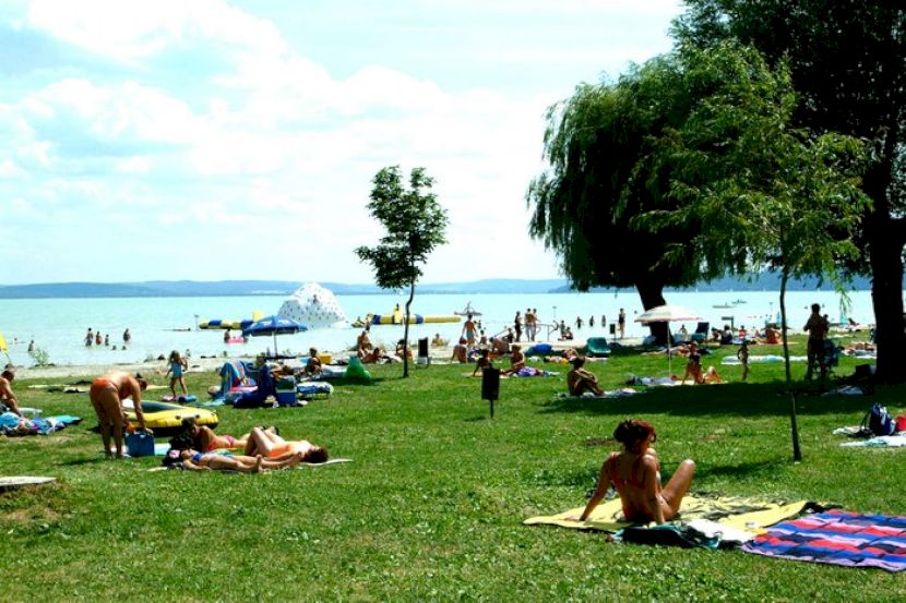 Oameni la plajă pe gazonul de lângă lac, sub arbori.