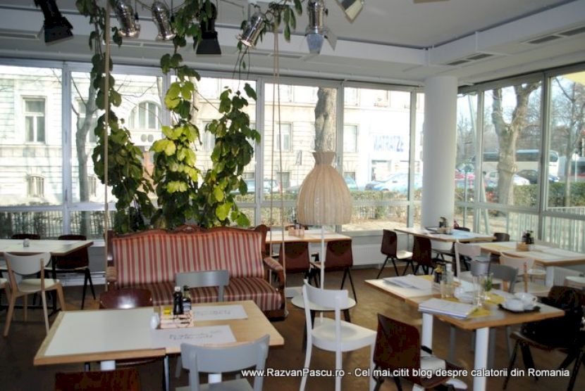 Restaurant luminos cu mese din lemn, ferestre mari și plante suspendate.