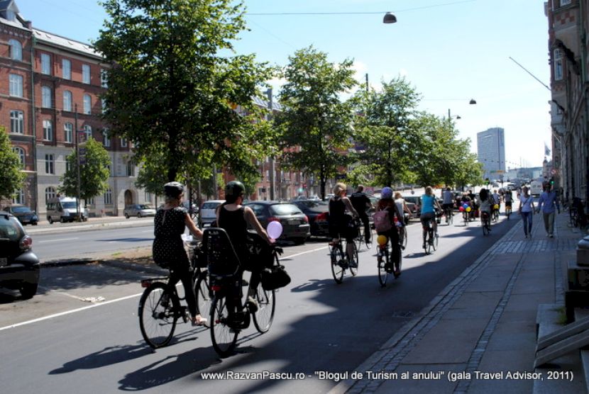 Bicicliști pe o stradă cu arbori și clădiri