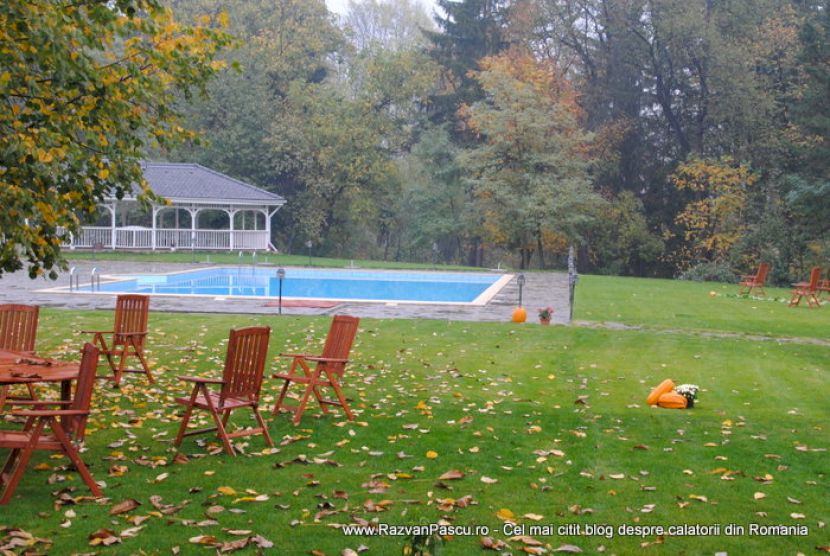 Șezlonguri pe o peluză lângă o piscină